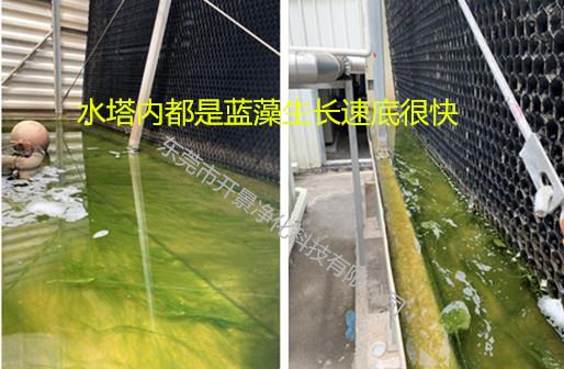 粘泥、青苔蓝藻及微生物的危害-管道粘泥清洗-循环水管道清洗-水垢青苔清洗